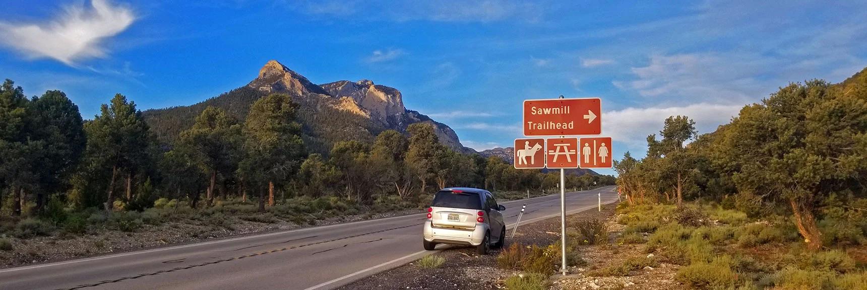 Enjoy 6 Beautiful Forested Trails Along the Spring Mountain's Eastern Slopes | Sawmill Trailhead Trails | Lee Canyon, Nevada
