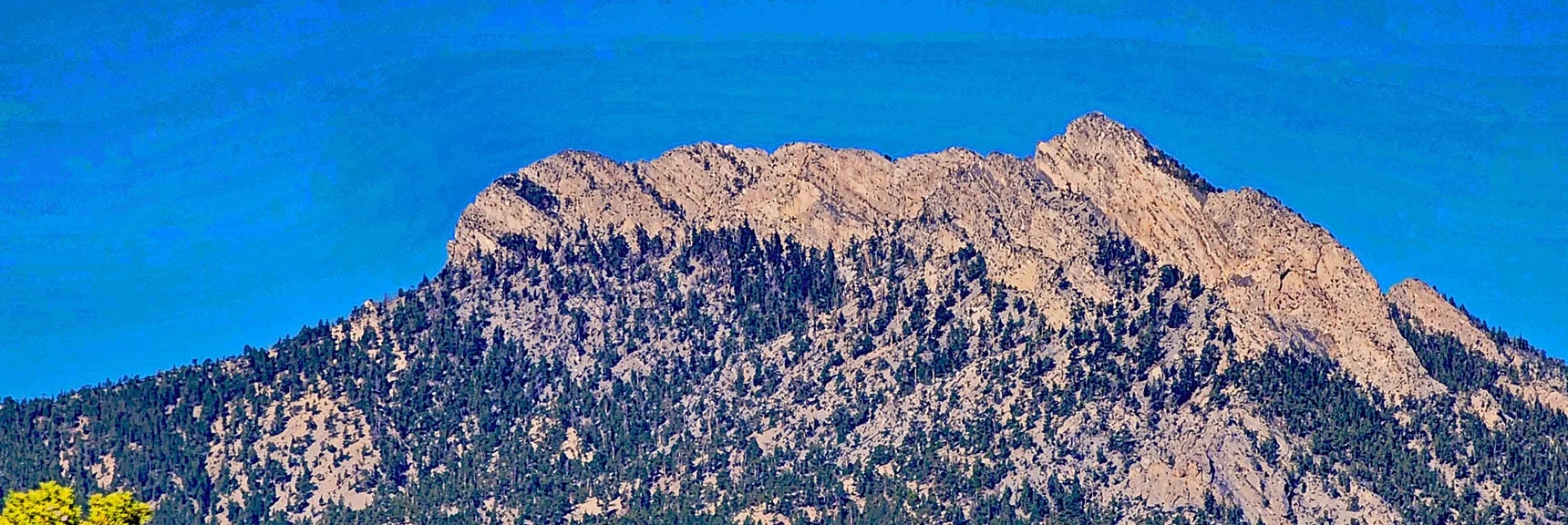 Macks Peak: Summit Approach is the Green Tree Band on the Left. | Rocky Gorge Loop Trail | Sawmill Trailhead Area | Lee Canyon, Nevada