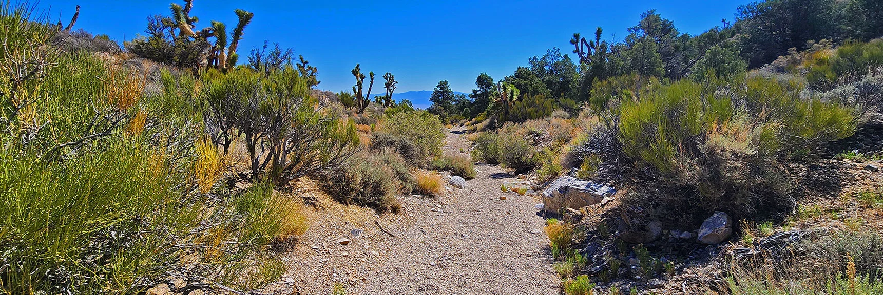 Emerging from Lower Opening. Sheep Range Background. | Rocky Gorge Loop Trail | Sawmill Trailhead Area | Lee Canyon, Nevada