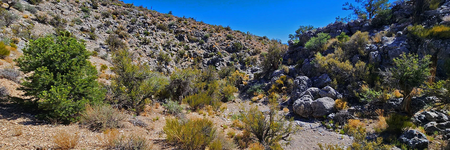 Winding Descent Through Rocky Gorge | Rocky Gorge Loop Trail | Sawmill Trailhead Area | Lee Canyon, Nevada