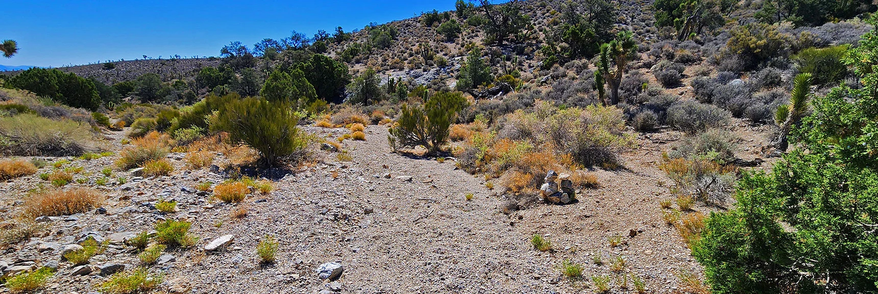This Cairn Marks the Place Trail Circles to the Right. | Rocky Gorge Loop Trail | Sawmill Trailhead Area | Lee Canyon, Nevada