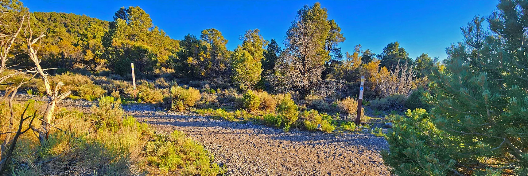 First Intersection Turn Left onto Blue Tree/Sawmill Overlapping Loop. | Rocky Gorge Loop Trail | Sawmill Trailhead Area | Lee Canyon, Nevada