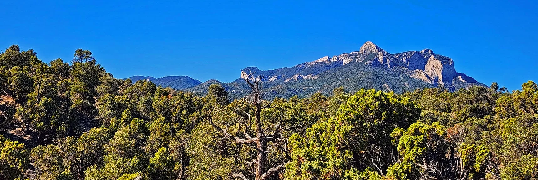Mummy Mt: Head (right); Toe (left). Fletcher Peak (far left). | Rocky Gorge Loop Trail | Sawmill Trailhead Area | Lee Canyon, Nevada