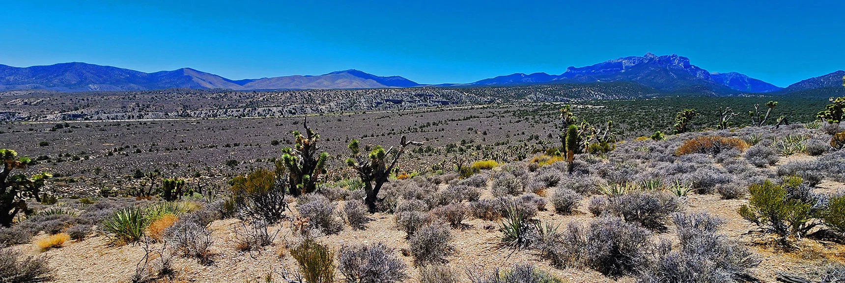 Switchback Down Ridge Toward Lee Canyon Rd. Below. | Rocky Gorge Loop Trail | Sawmill Trailhead Area | Lee Canyon, Nevada