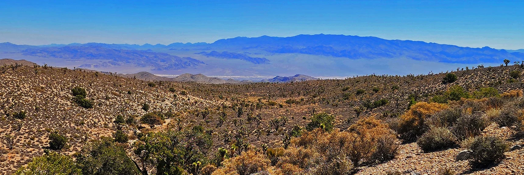 Sheep Range in Full View While Ascending Ridge. Joshua Tree Forest Below. | Rocky Gorge Loop Trail | Sawmill Trailhead Area | Lee Canyon, Nevada