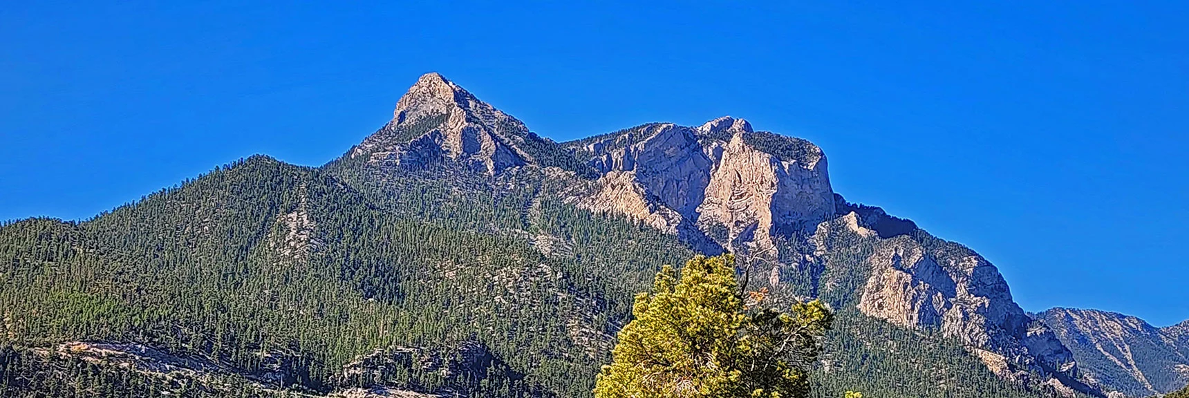Beautiful Landmark Mummy's Head: Left Peak is Mummy's Nose with Awesome 360-Degree Views! | Sawmill Loop Trail | Sawmill Trailhead | Lee Canyon, Nevada