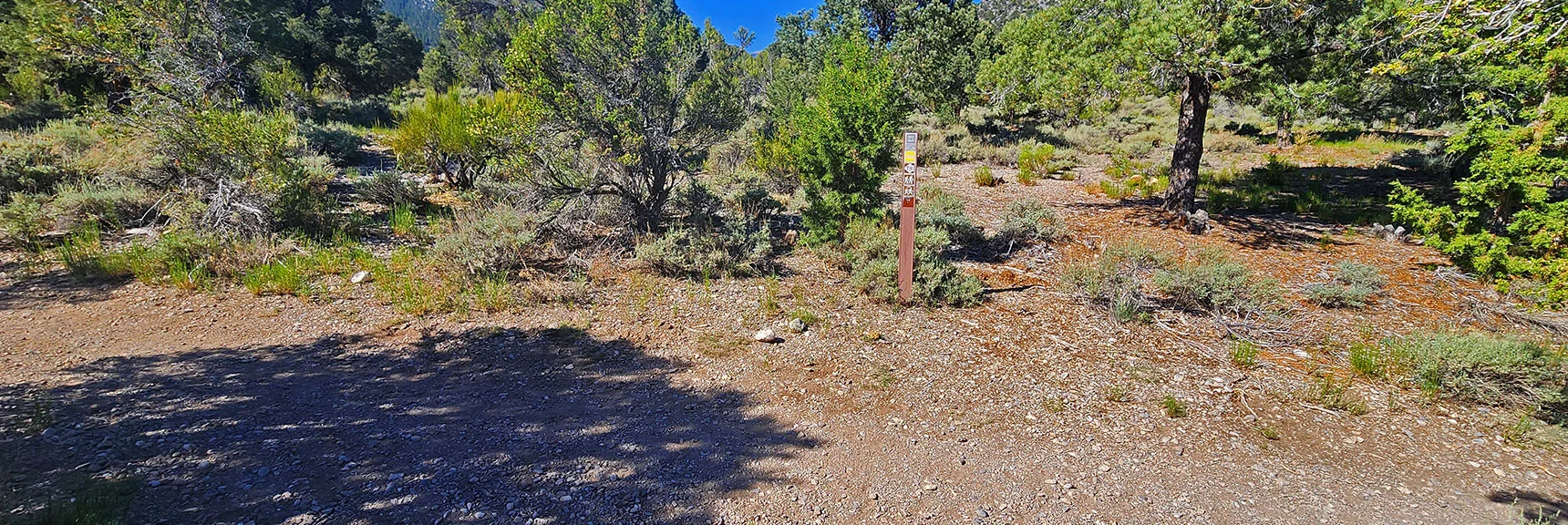 Arrival at Loop Beginning Marker. Trailhead 50ft to the Left. | Sawmill Loop Trail | Sawmill Trailhead | Lee Canyon, Nevada