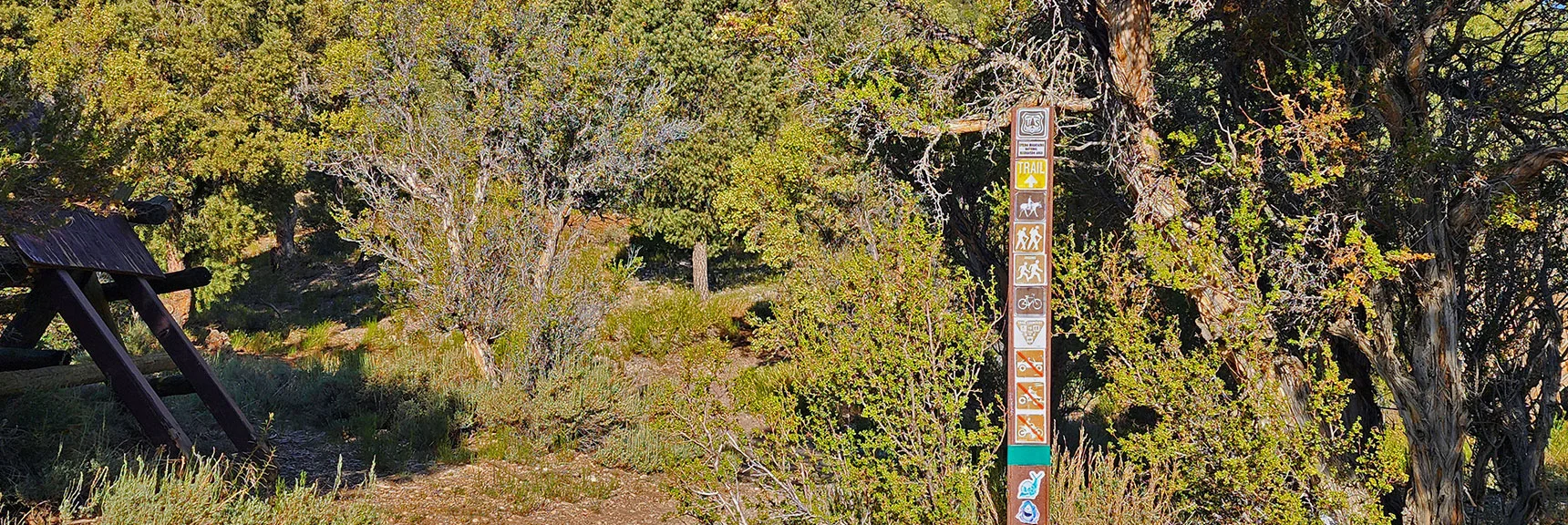 This is Access to All 6 Loop Trails. Sawmill Trail is Color-Coded Yellow. | Sawmill Loop Trail | Sawmill Trailhead | Lee Canyon, Nevada