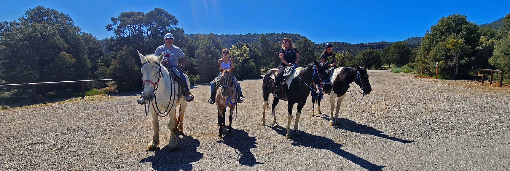 Now Saddled and Ready to Ride the Sawmill Loop Counterclockwise. | Sawmill Loop Trail | Sawmill Trailhead | Lee Canyon, Nevada