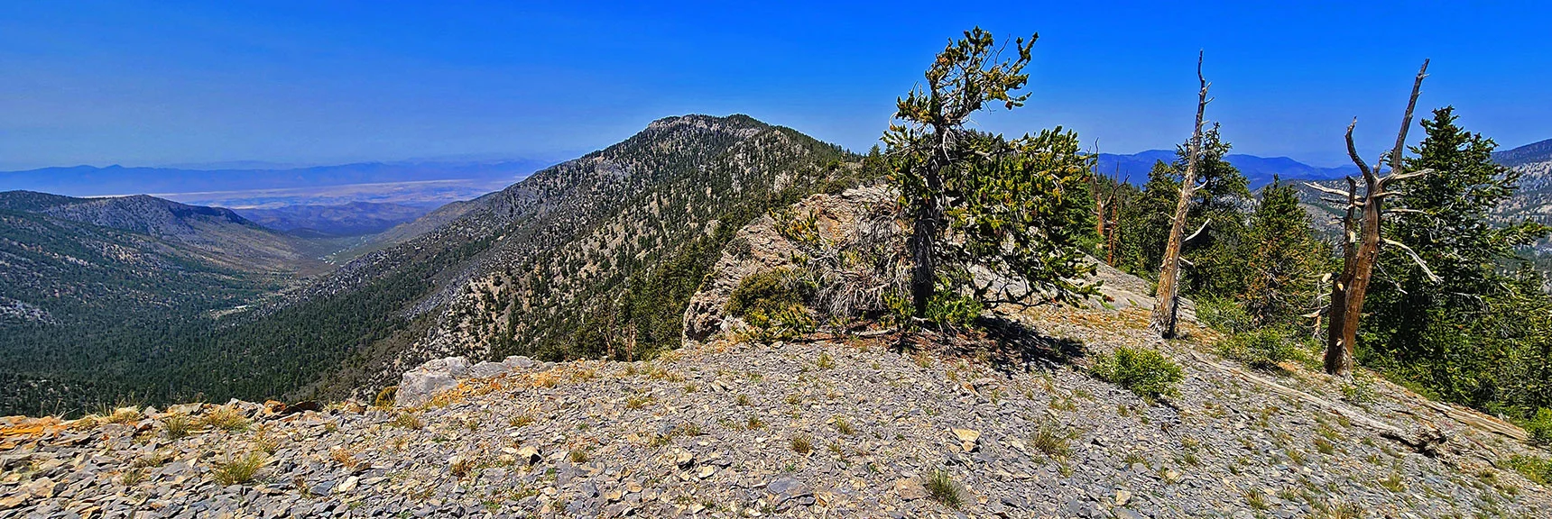 Keep to Upper Left on Ridgeline Toward Amargosa Overlook High Point Ahead. | Amargosa Overlook | Mt. Charleston Wilderness | Spring Mountains, Nevada