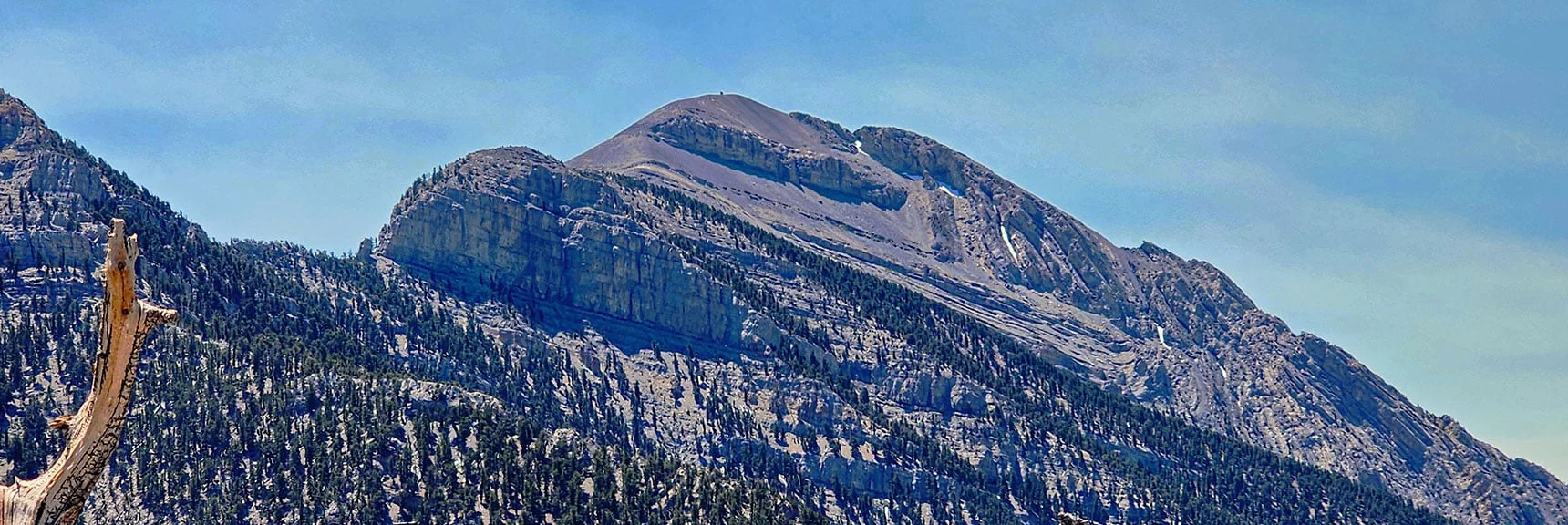 Do You Recognize Where Charleston Loop Turns Left at Cliff Below Charleston Peak? | Amargosa Overlook | Mt. Charleston Wilderness | Spring Mountains, Nevada