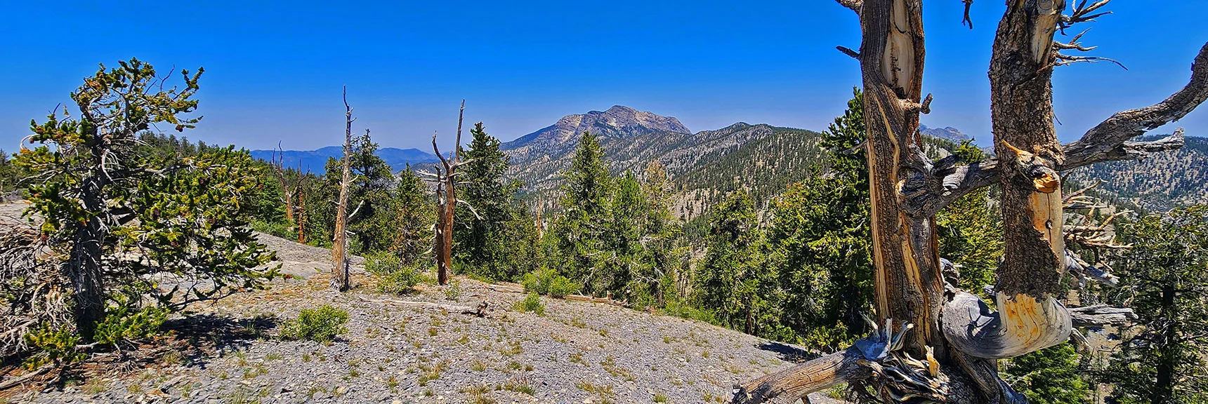 View in Opposite Direction (North) Reveals McFarland Peak | Amargosa Overlook | Mt. Charleston Wilderness | Spring Mountains, Nevada