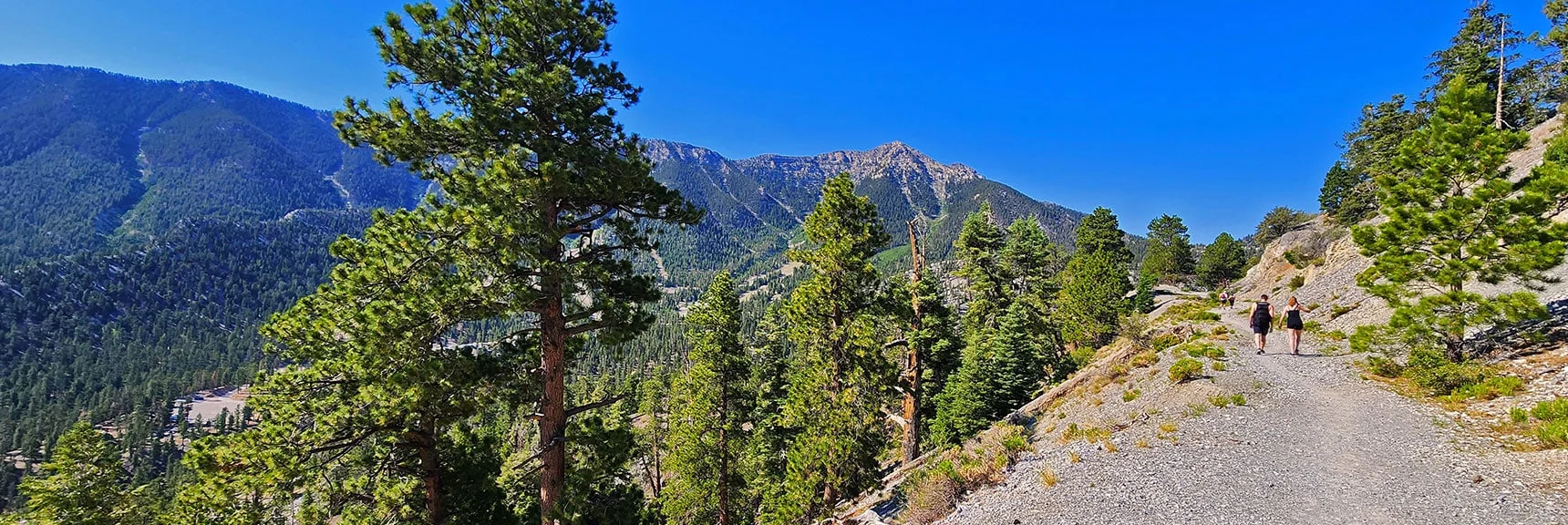 As You Turn That Corner See Upper Lee Canyon and Lee Peak Ahead. | Amargosa Overlook | Mt. Charleston Wilderness | Spring Mountains, Nevada