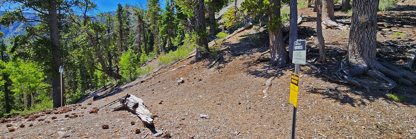 Shortly After Turn Right Up a Large Hill. Continuing Straight Plunges to Lee Canyon. | Amargosa Overlook | Mt. Charleston Wilderness | Spring Mountains, Nevada