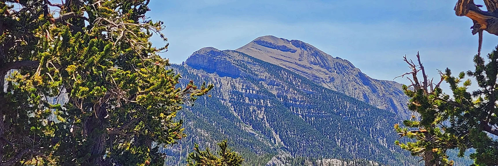 Many Beautifully Framed Views of Peaks Across Wallace Canyon on This Stretch. | Amargosa Overlook | Mt. Charleston Wilderness | Spring Mountains, Nevada