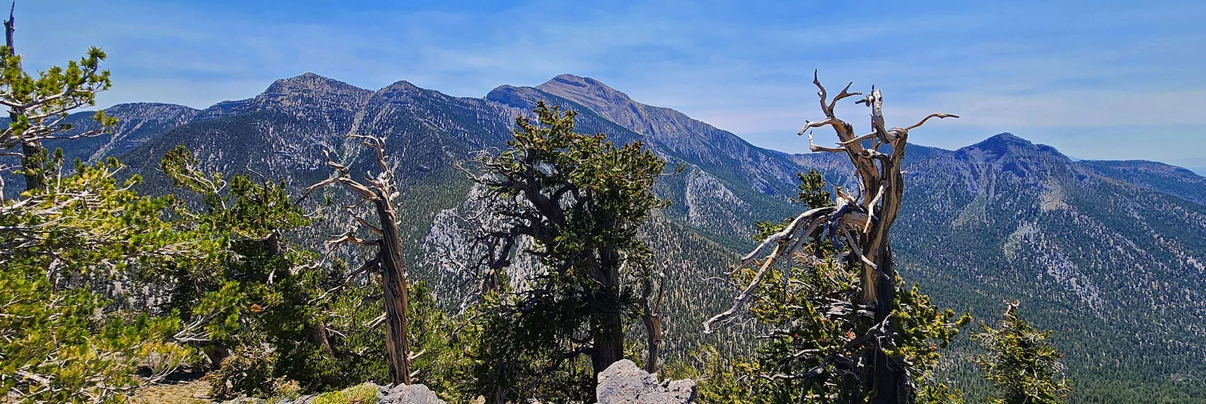 High Peaks Across Wallace Canyon Form Backdrop to Beautiful Bristlecone Forest | Amargosa Overlook | Mt. Charleston Wilderness | Spring Mountains, Nevada