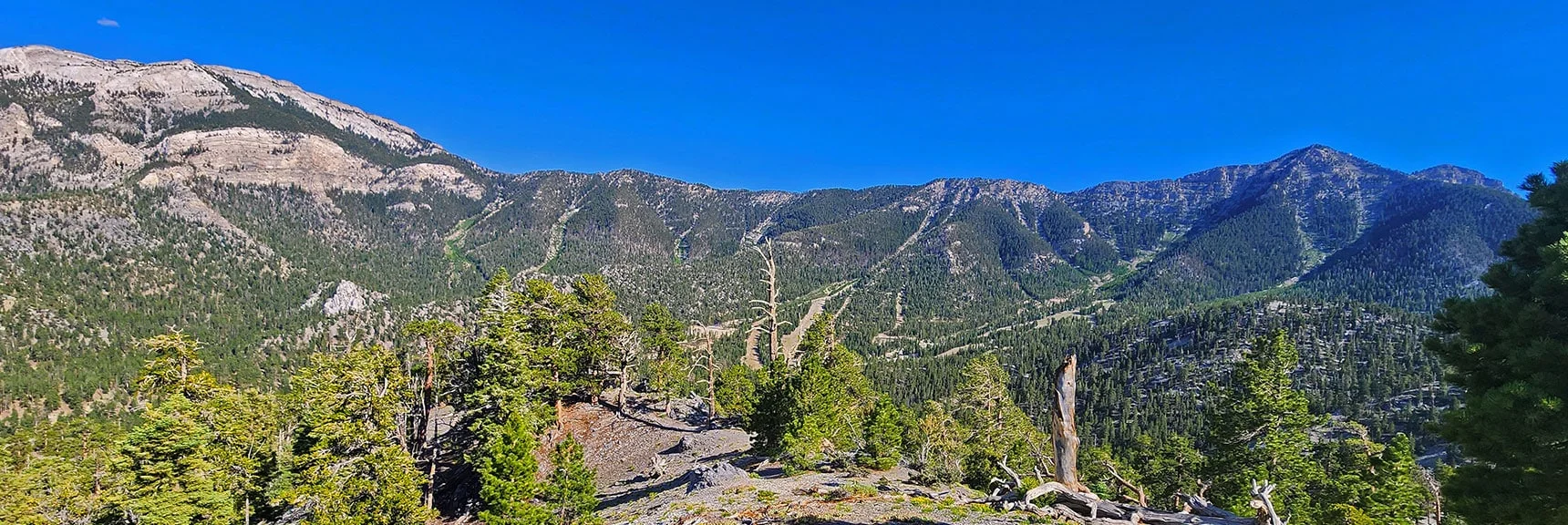 See the Ridgeline Between Mummy & Lee Peak Separating Lee & Kyle Canyons. | Amargosa Overlook | Mt. Charleston Wilderness | Spring Mountains, Nevada