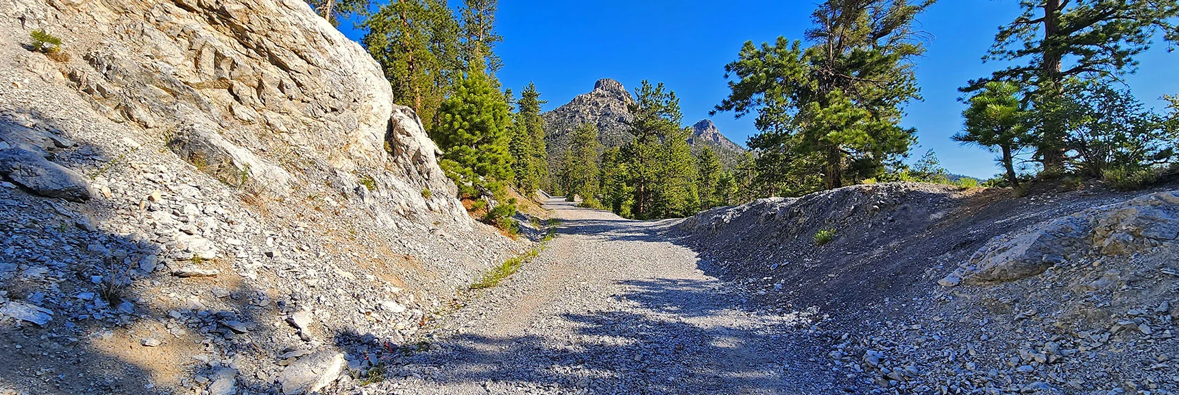 Begin Ascending the Fire Road from the Lower Bristlecone Pine Trailhead. | Amargosa Overlook | Mt. Charleston Wilderness | Spring Mountains, Nevada
