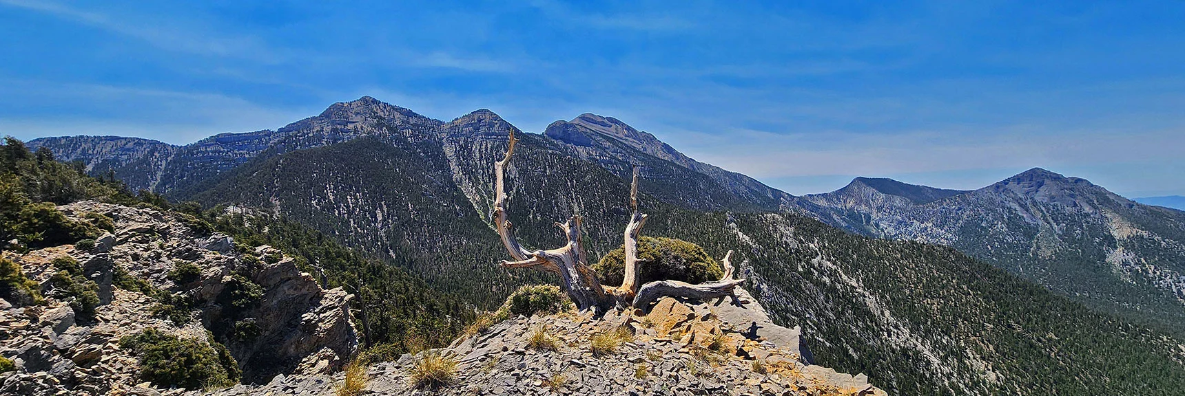 Lee Peak to Clinton Peak Form Upper Ridge Across Wallace Canyon. | Amargosa Overlook | Mt. Charleston Wilderness | Spring Mountains, Nevada