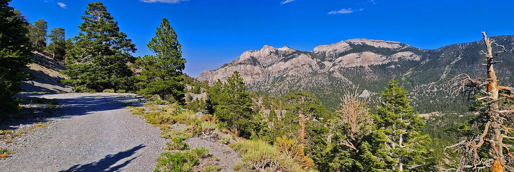 Look Back to See a Great View of Mummy Mountain: Main Summit (right); Head (left). | Amargosa Overlook | Mt. Charleston Wilderness | Spring Mountains, Nevada