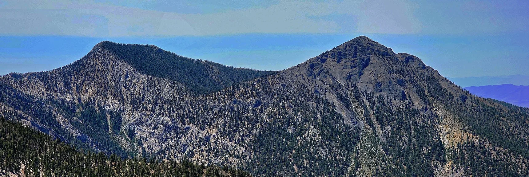 Clinton Peak (right); Mt. Reagan (left) Across Wallace Canyon. | Amargosa Overlook | Mt. Charleston Wilderness | Spring Mountains, Nevada