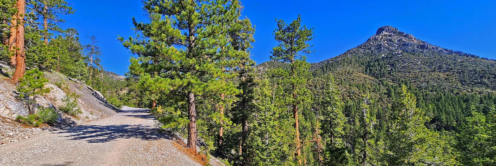 Prominent in View is South Sister. | Amargosa Overlook | Mt. Charleston Wilderness | Spring Mountains, Nevada
