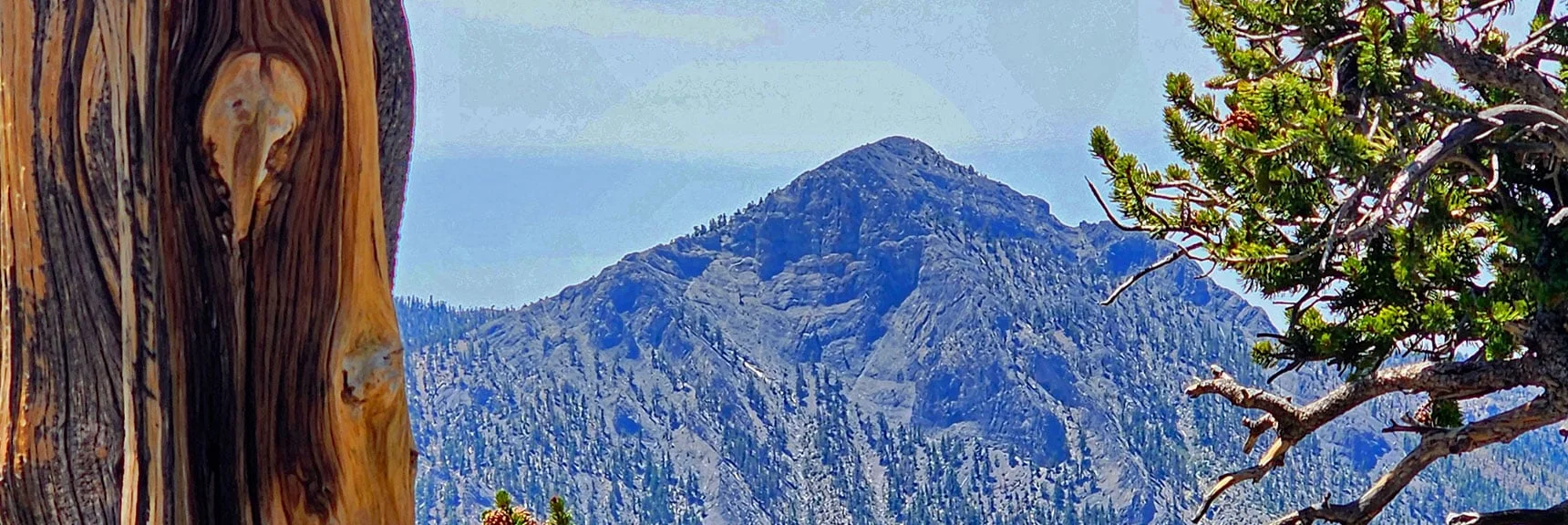 Clinton Peak Across Wallace Canyon Framed Through This Opening | Amargosa Overlook | Mt. Charleston Wilderness | Spring Mountains, Nevada