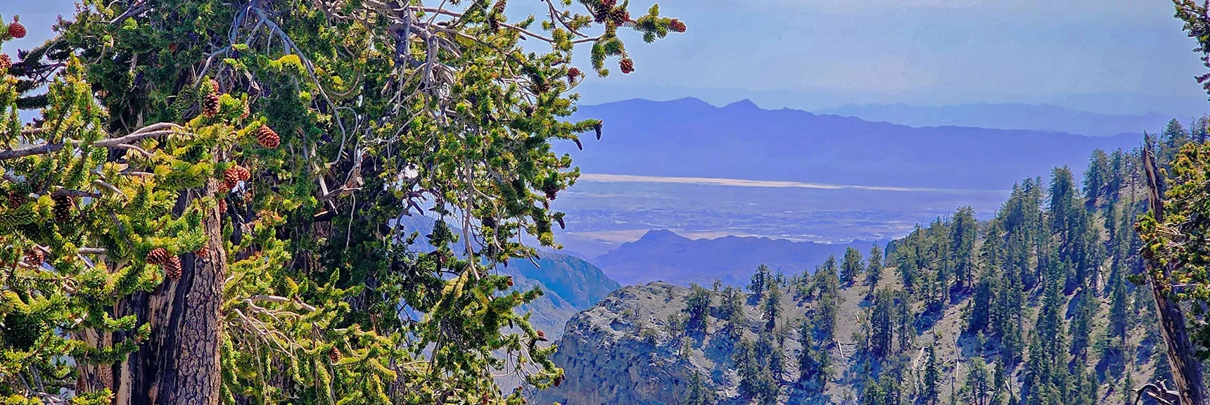 Final View of Amargosa Valley. | Amargosa Overlook | Mt. Charleston Wilderness | Spring Mountains, Nevada