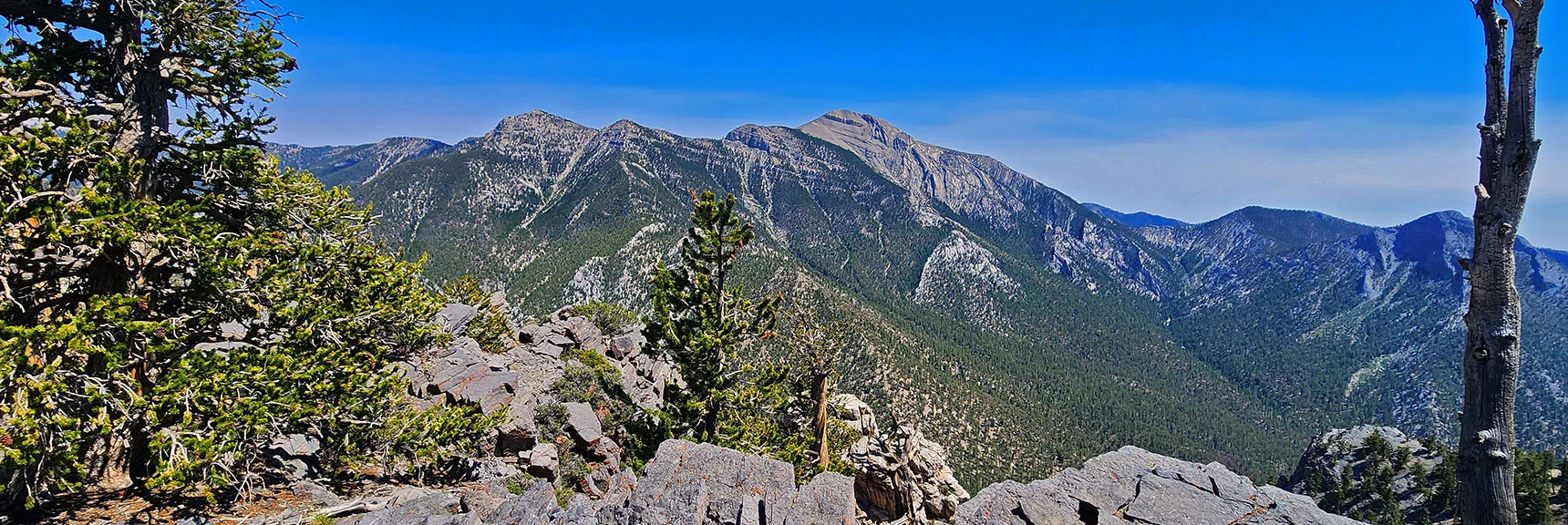 Enjoy a Spectacular View from 10,154ft Overlooking Mt. Charleston and the Amargosa Valley | Amargosa Overlook | Mt. Charleston Wilderness | Spring Mountains, Nevada