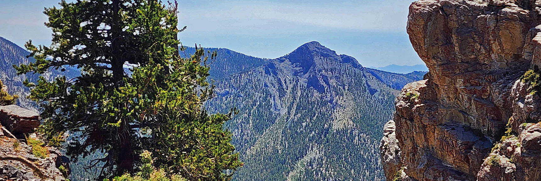 Clinton Peak Framed in Limestone/Bristlecone Opening Just Below Amargosa Overlook | Amargosa Overlook | Mt. Charleston Wilderness | Spring Mountains, Nevada