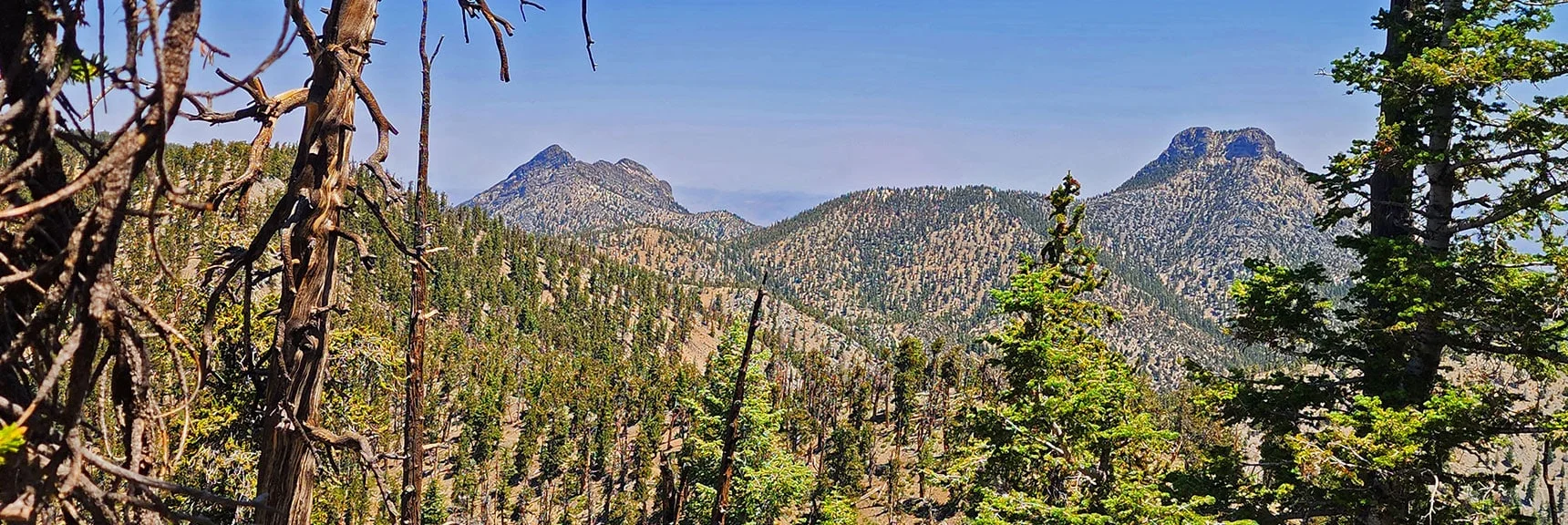 View Back Shows South Sister, North Sister and Saddle Between | Amargosa Overlook | Mt. Charleston Wilderness | Spring Mountains, Nevada