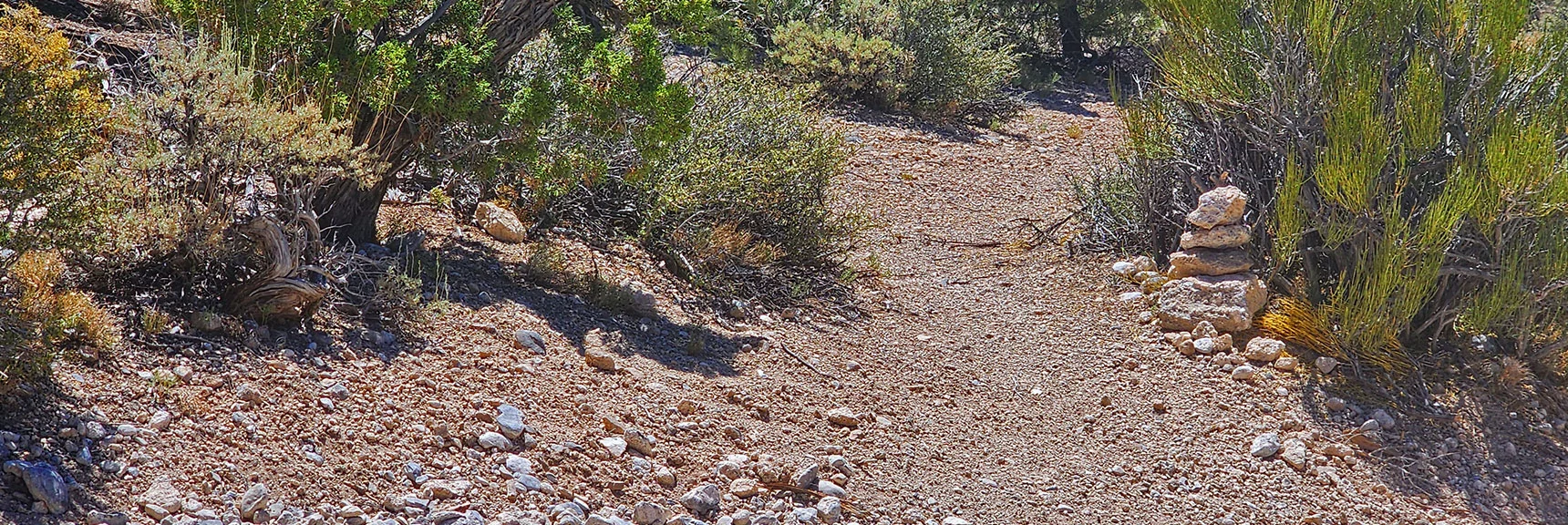 Cross a Road, Trail Resumes. Follow the Cairns and Signs at Intersections. | Blue Tree Loop | Sawmill Trailhead | Lee Canyon, Nevada