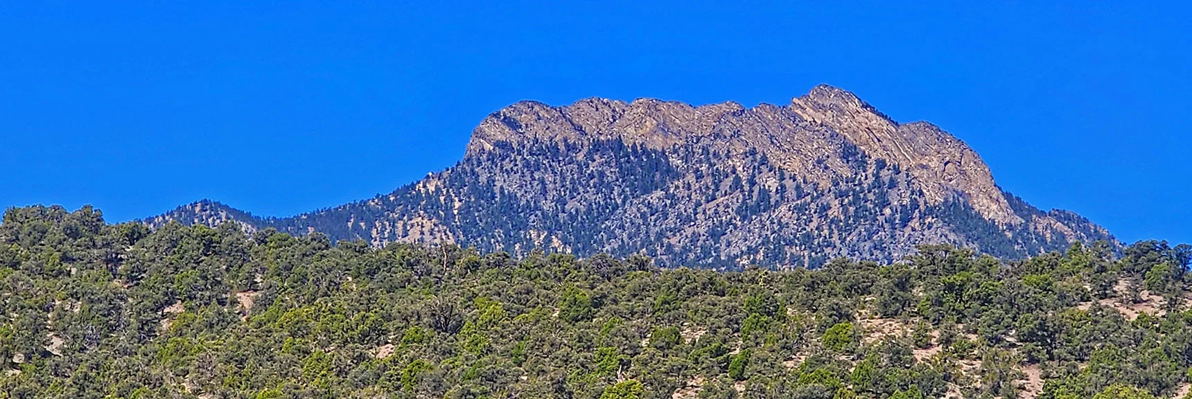 Macks Peak Appears to the Southwest. Its Summit Approach from Left Slope. | Blue Tree Loop | Sawmill Trailhead | Lee Canyon, Nevada