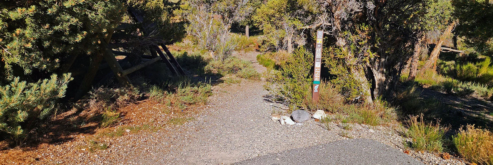 Start: Sawmill Loop Counterclockwise at the Upper Sawmill Trailhead | Blue Tree Loop | Sawmill Trailhead | Lee Canyon, Nevada