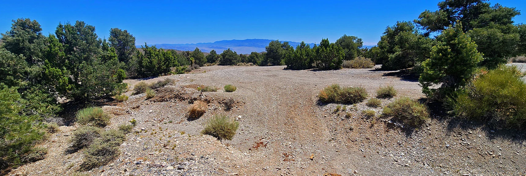 Arrival at Lower Northeast End of Loop. Right Turn onto Blue Tree Rd. | Blue Tree Loop | Sawmill Trailhead | Lee Canyon, Nevada