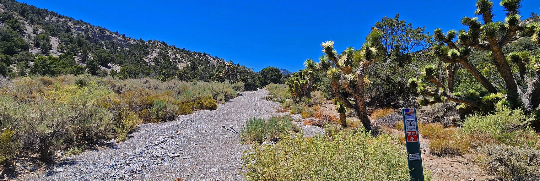 Loop (now orange) Heads Up Lee Canyon. Watch for a Trail. | Blue Tree Loop | Sawmill Trailhead | Lee Canyon, Nevada