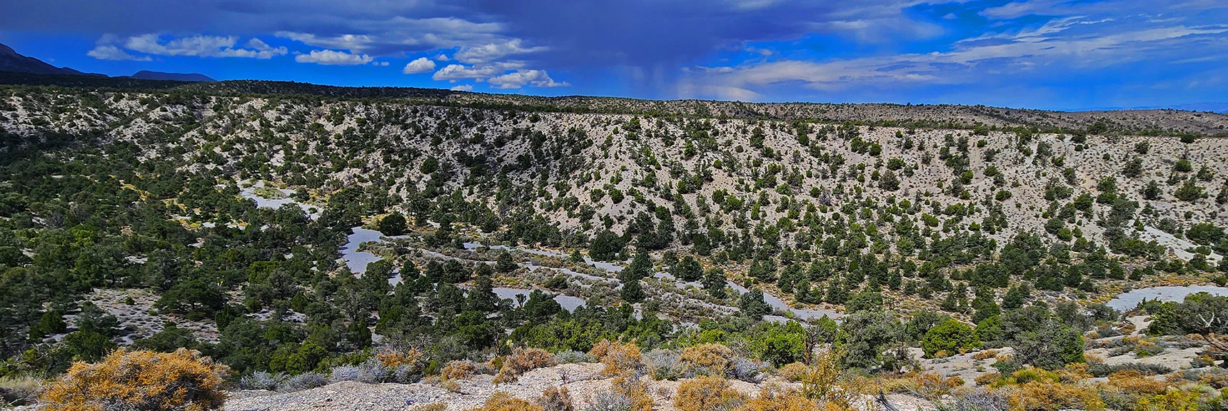 Experience Dynamic Terrain Changes from Pine-Covered Slopes to Lee Canyon Narrows | Blue Tree Loop | Sawmill Trailhead | Lee Canyon, Nevada