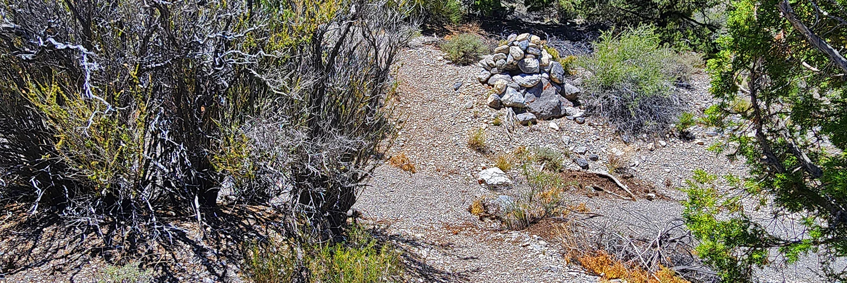 Trail Crosses Main Wash Many Times. Crossings Marked with Cairns. | Blue Tree Loop | Sawmill Trailhead | Lee Canyon, Nevada