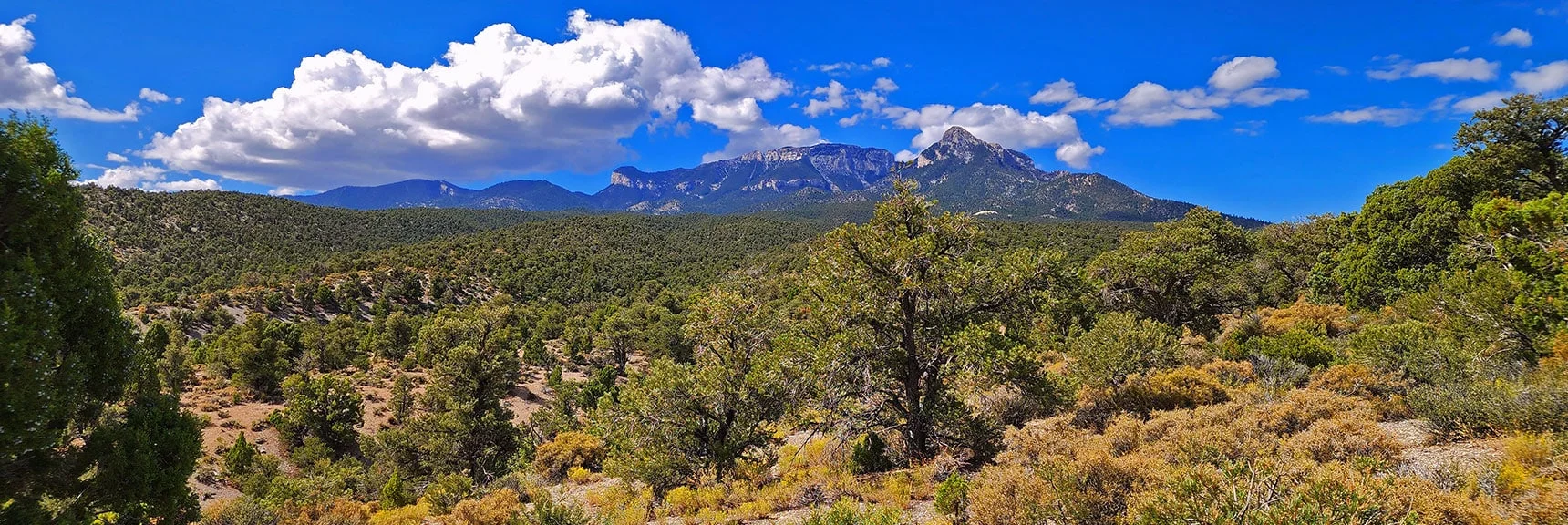 Spectacular Views from the Eastern Slopes of Mummy Mt. to the Sheep Range | Deer Creek Catch Pen Loop | Sawmill Trailhead | Lee Canyon, Nevada
