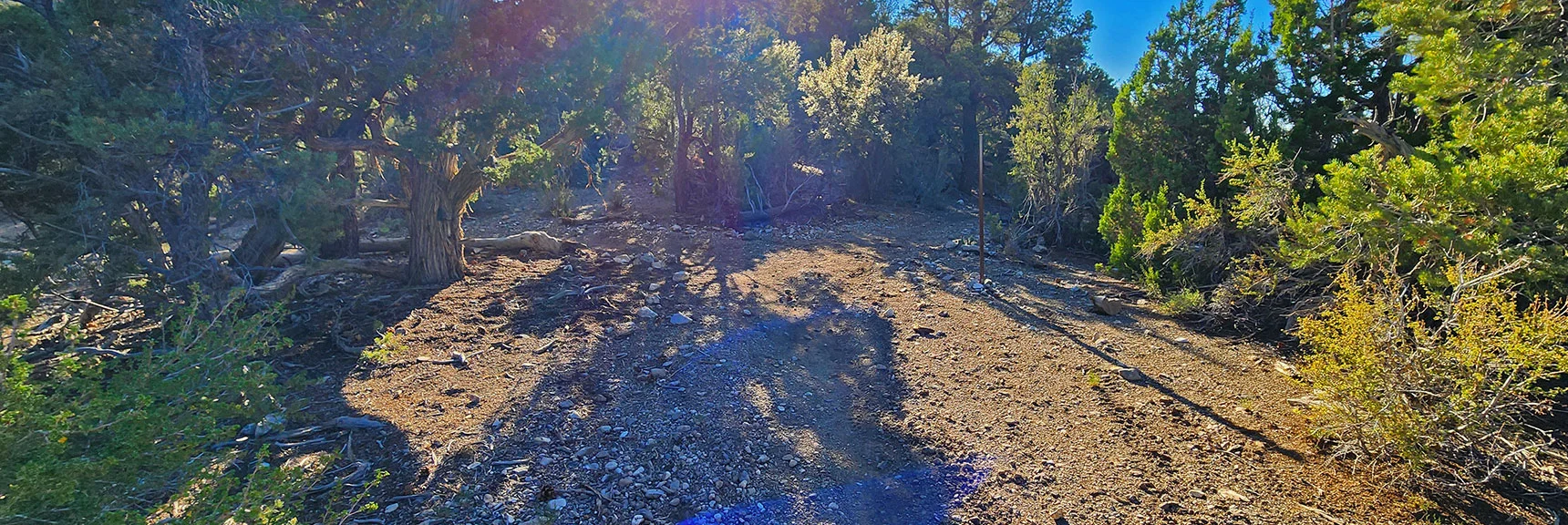 Here Again at the Clockwise Entrance to Mud Springs Loop. Now Descend to Trailhead | Mud Springs Loop Clockwise | Sawmill Trailhead | Lee Canyon, Nevada