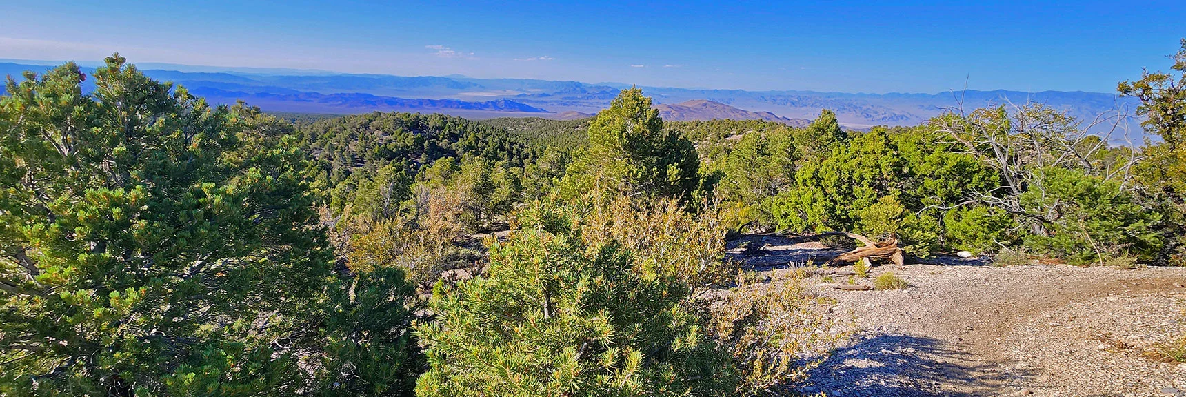 View from Ridgeline Back Across the Terrain Mud Springs Trail Loops Around | Mud Springs Loop Clockwise | Sawmill Trailhead | Lee Canyon, Nevada
