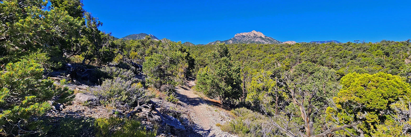 Round a Corner to See Macks Peak (right) & Sisters (left) | Mud Springs Loop Clockwise | Sawmill Trailhead | Lee Canyon, Nevada