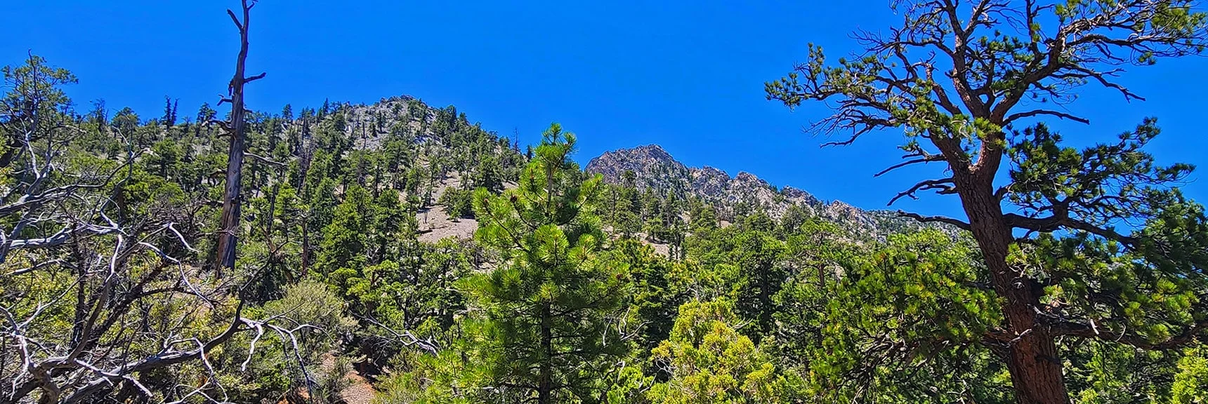 Macks Peak (right), Bristlecone High Point (left) | Mud Springs Loop Clockwise | Sawmill Trailhead | Lee Canyon, Nevada