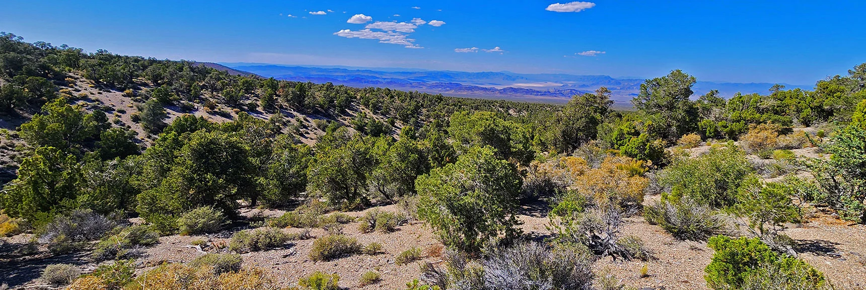 Many Canyon and Ridge Crossings as Trail Loops Back Toward Starting Point | Mud Springs Loop Clockwise | Sawmill Trailhead | Lee Canyon, Nevada