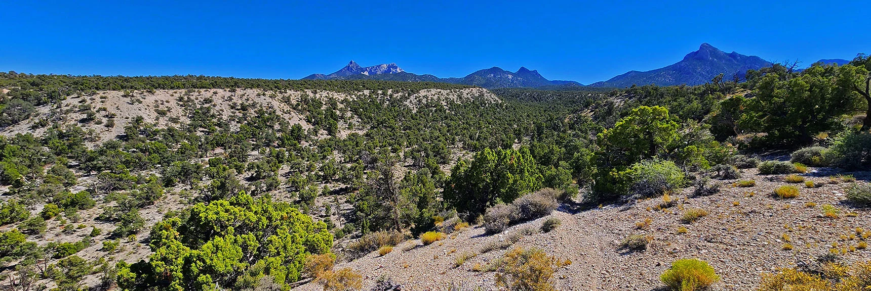 Left to Right: Mummy's Head, Sisters, Macks Peaks. Macks Canyon Below | Mud Springs Loop Clockwise | Sawmill Trailhead | Lee Canyon, Nevada