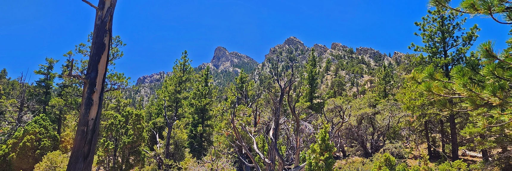 Complete 15-Mile Outer Loop. Skirt the Base of Macks Peak! | Mud Springs Loop Clockwise | Sawmill Trailhead | Lee Canyon, Nevada