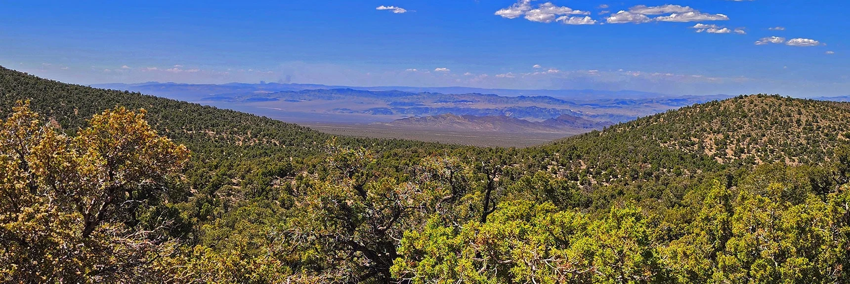 This East Side of Loop Has Most Spectacular Desert Terrain Views. | Mud Springs Loop Clockwise | Sawmill Trailhead | Lee Canyon, Nevada