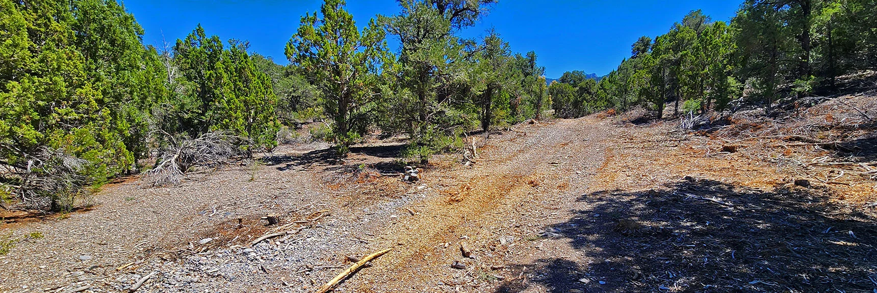 Small Cairn, Easily Missed, Marks Resumption of Mud Springs Loop | Mud Springs Loop Clockwise | Sawmill Trailhead | Lee Canyon, Nevada