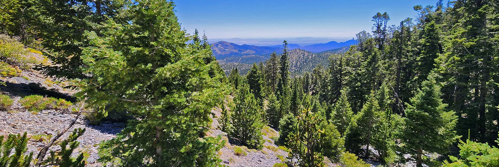 View Down Deer Creek North Fork Gully to Angel Peak and Beyond. | Mummy’s Forehead Summit | Mt Charleston Wilderness, Nevada