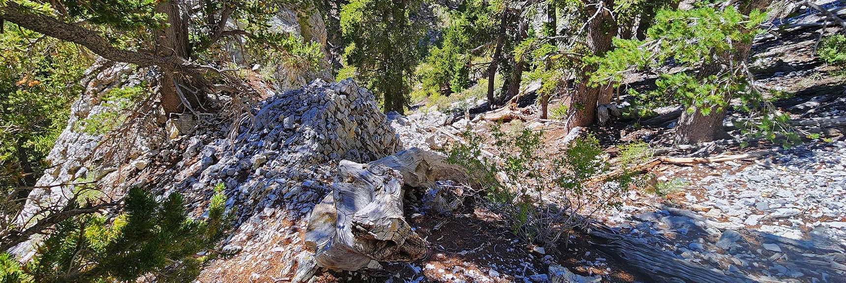 Cross Above a Couple Rocky Ridges on the Way | Deer Creek North Fork Canyon | Mt Charleston Wilderness, Nevada